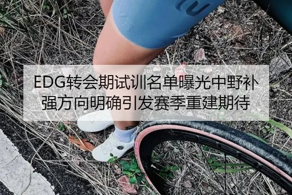 EDG转会期试训名单曝光中野补强方向明确引发赛季重建期待（Leyu）