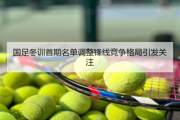 国足冬训首期名单调整锋线竞争格局引发关注（Leyu）